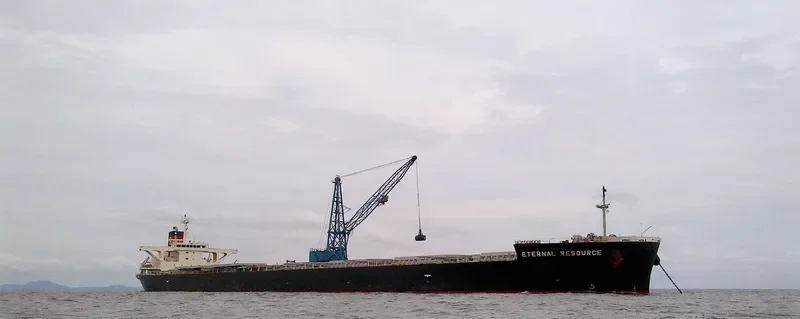 ETERNAL RESOURCE Bulk Carrier IMO 9515187 photo 8