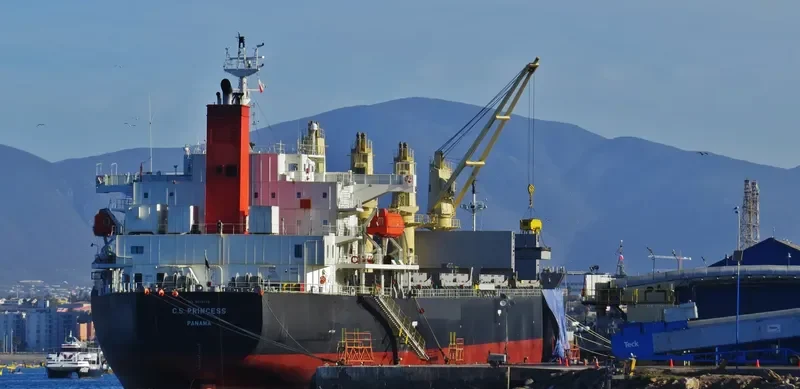 C.S.PRINCESS Bulk Carrier IMO 9515199