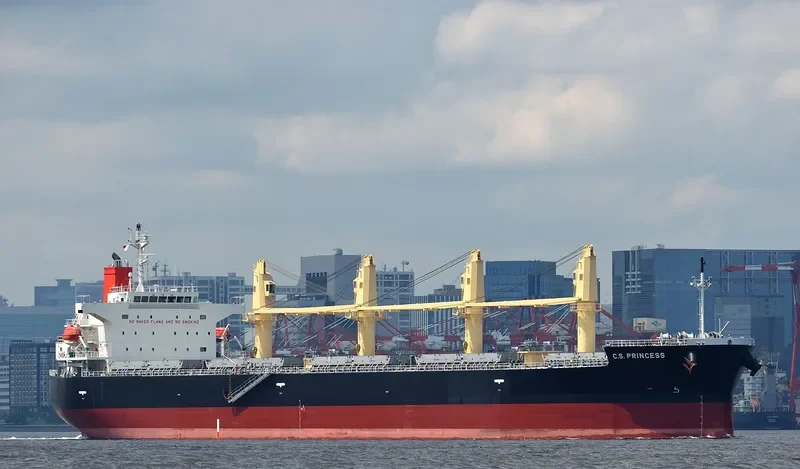 C.S.PRINCESS Bulk Carrier IMO 9515199 photo 4
