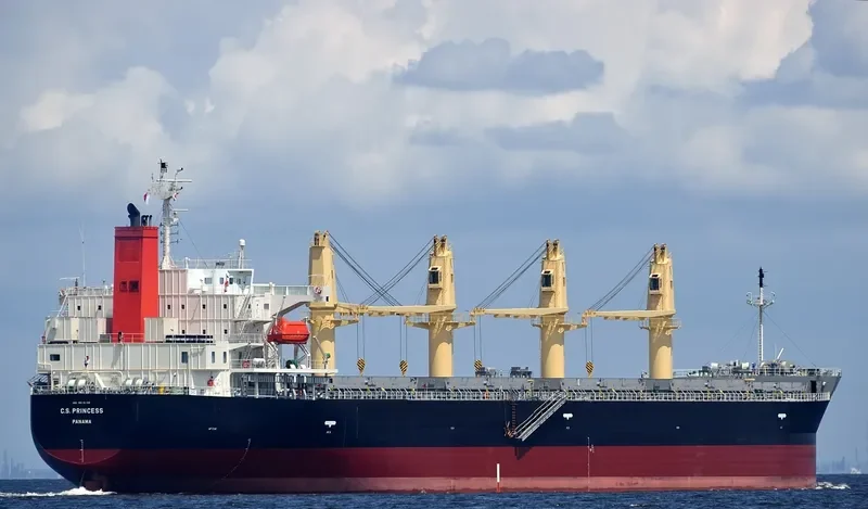 C.S.PRINCESS Bulk Carrier IMO 9515199 photo 5