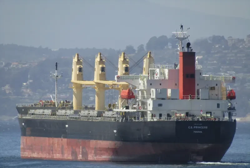 C.S.PRINCESS Bulk Carrier IMO 9515199 photo 6