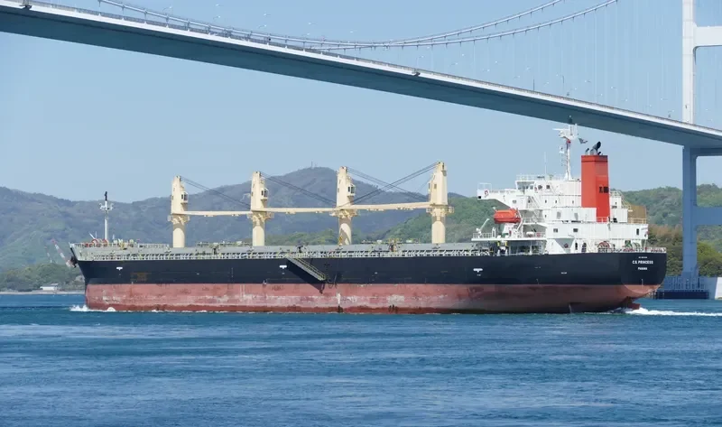 C.S.PRINCESS Bulk Carrier IMO 9515199 photo 7