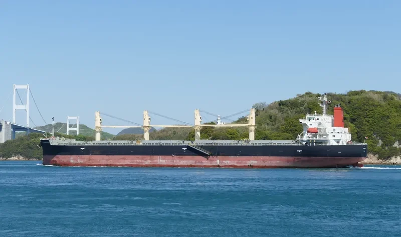 C.S.PRINCESS Bulk Carrier IMO 9515199 photo 8