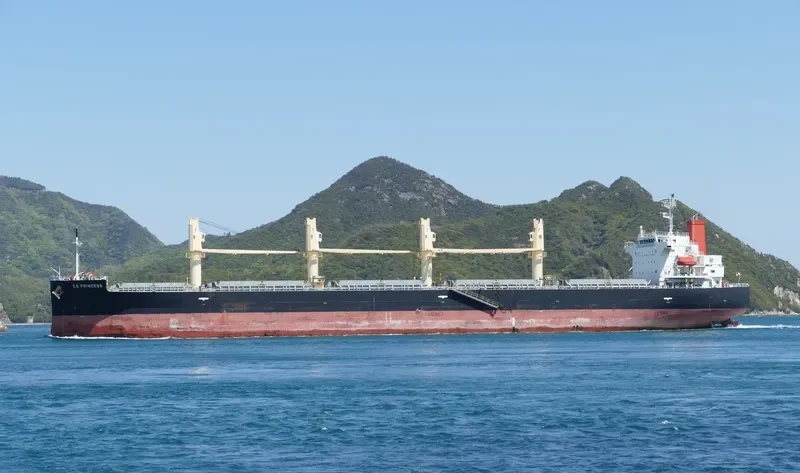 C.S.PRINCESS Bulk Carrier IMO 9515199 photo 9