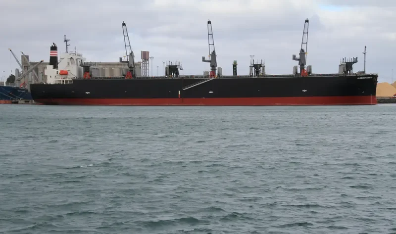 GLORIOUS HIBISCUS Bulk Carrier IMO 9515216 photo 2