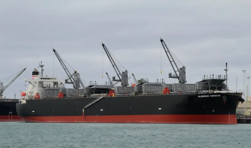 GLORIOUS HIBISCUS Bulk Carrier IMO 9515216 photo 3