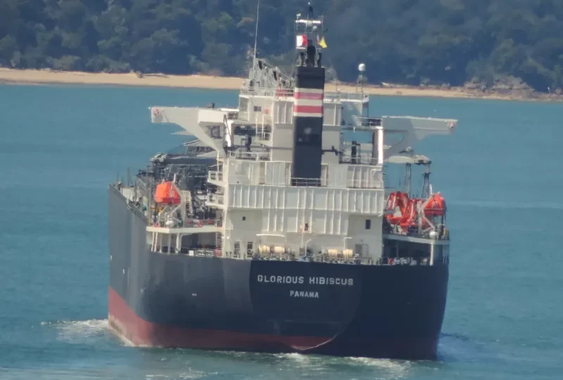 GLORIOUS HIBISCUS Bulk Carrier IMO 9515216 photo 4