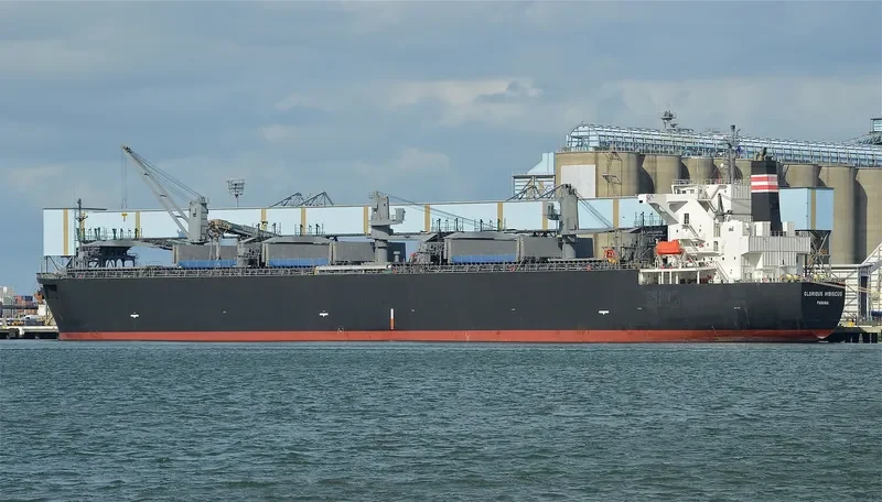 GLORIOUS HIBISCUS Bulk Carrier IMO 9515216 photo 7