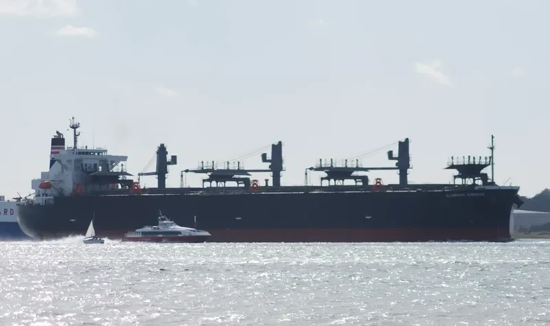 GLORIOUS HIBISCUS Bulk Carrier IMO 9515216 photo 9