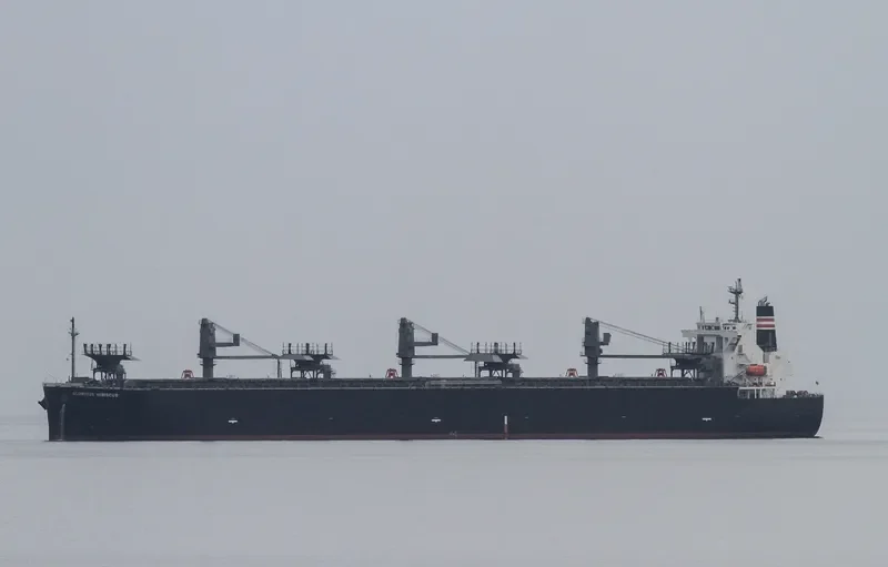 GLORIOUS HIBISCUS Bulk Carrier IMO 9515216 photo 10