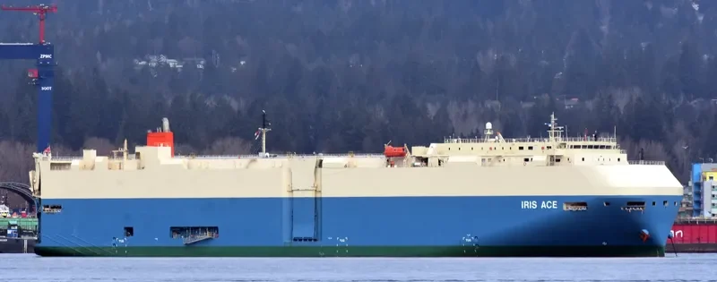 IRIS ACE General Cargo IMO 9515474 photo 2