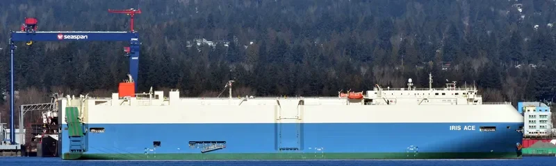 IRIS ACE General Cargo IMO 9515474 photo 5