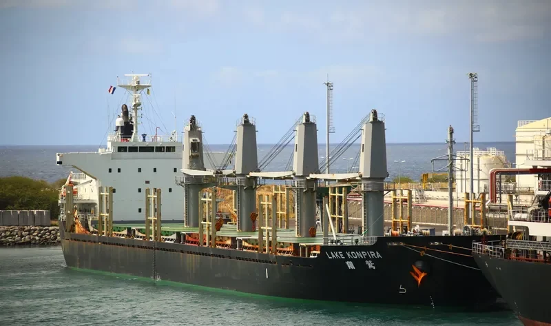 CONTINENTAL TAIGA Bulk Carrier IMO 9515527 photo 2