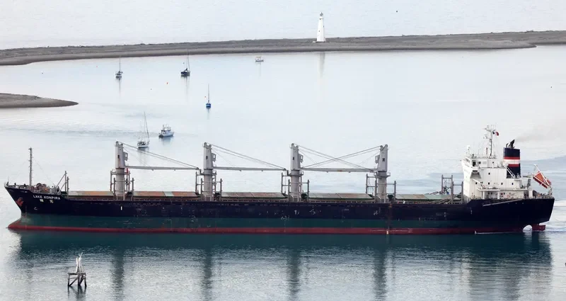CONTINENTAL TAIGA Bulk Carrier IMO 9515527 photo 8