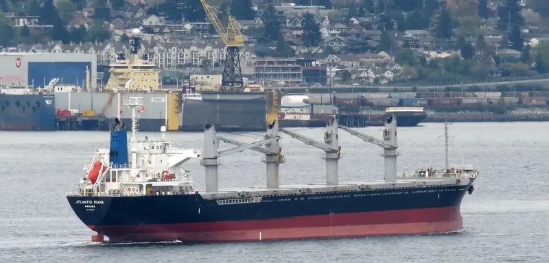 ATLANTIC DIANA Bulk Carrier IMO 9515539 photo 2