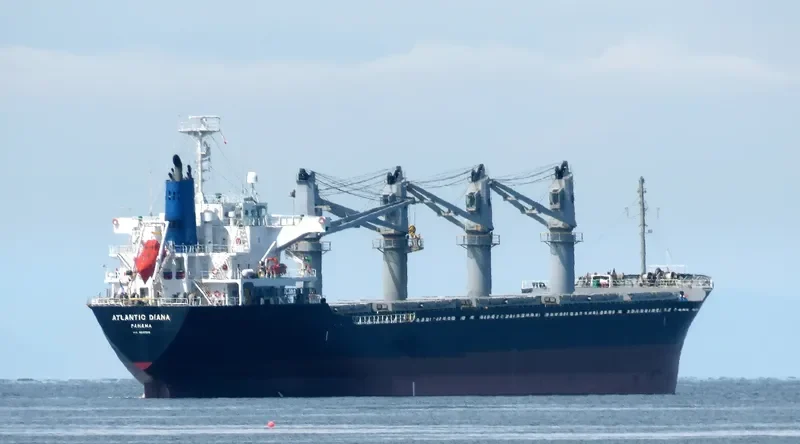 ATLANTIC DIANA Bulk Carrier IMO 9515539 photo 3