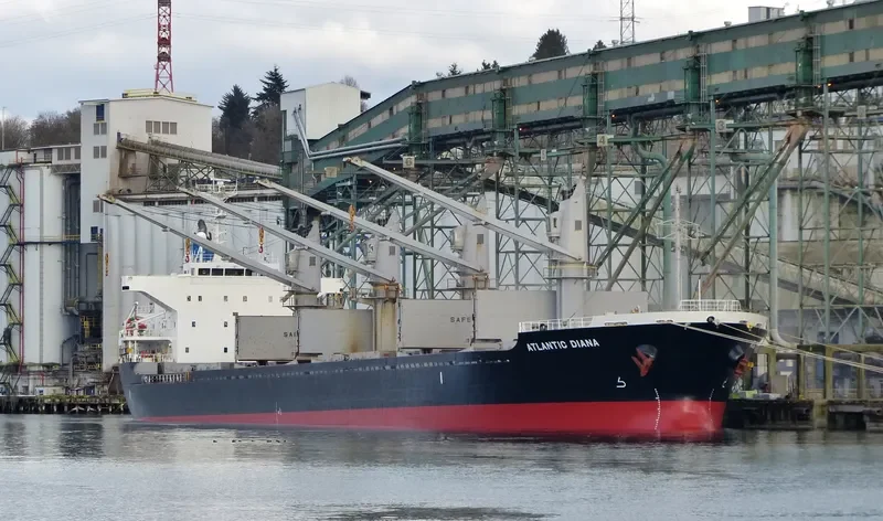 ATLANTIC DIANA Bulk Carrier IMO 9515539 photo 4