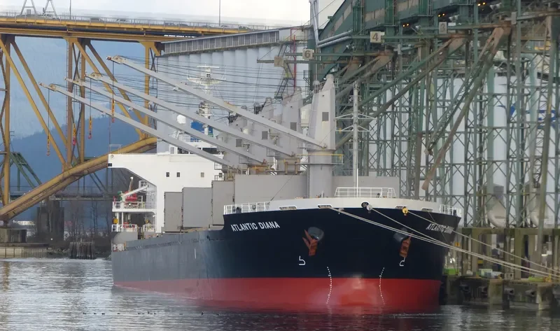 ATLANTIC DIANA Bulk Carrier IMO 9515539 photo 5