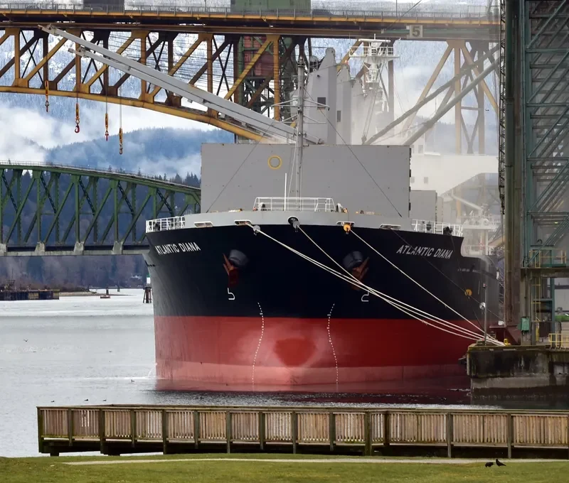 ATLANTIC DIANA Bulk Carrier IMO 9515539 photo 7