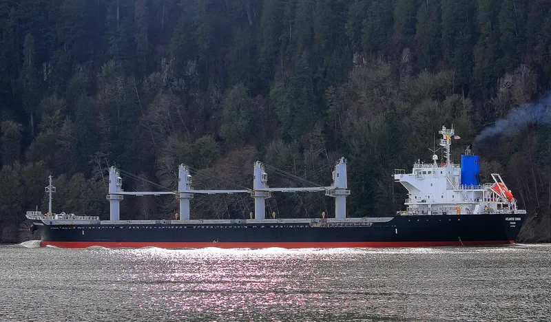 ATLANTIC DIANA Bulk Carrier IMO 9515539 photo 8