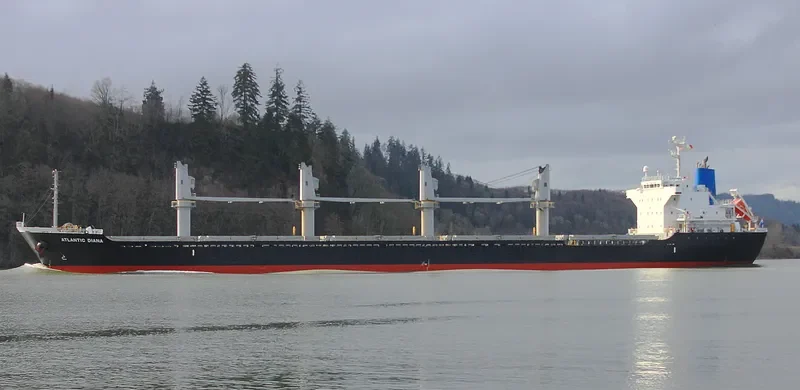 ATLANTIC DIANA Bulk Carrier IMO 9515539 photo 9