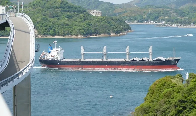 J HARMONY Bulk Carrier IMO 9515553 photo 2