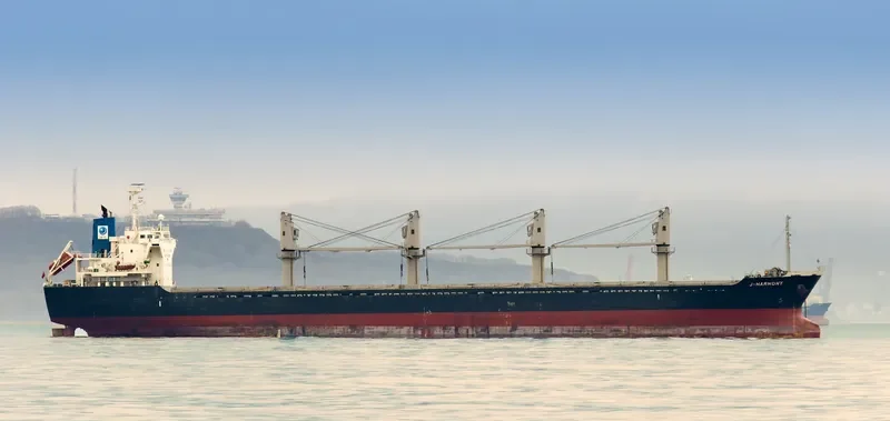 J HARMONY Bulk Carrier IMO 9515553 photo 3