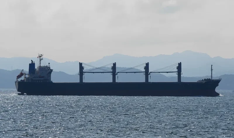 J HARMONY Bulk Carrier IMO 9515553 photo 8