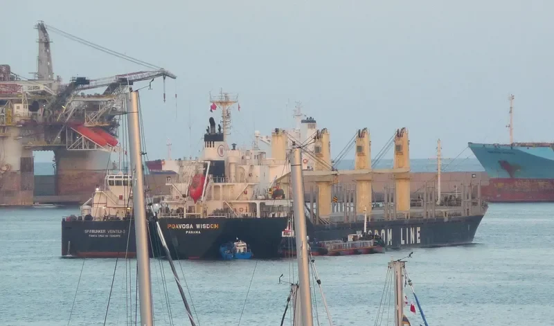 POAVOSA WISDOM Bulk Carrier IMO 9515644