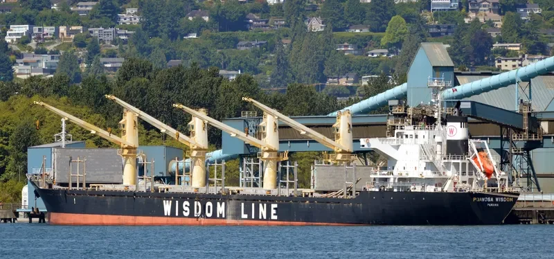POAVOSA WISDOM Bulk Carrier IMO 9515644 photo 3