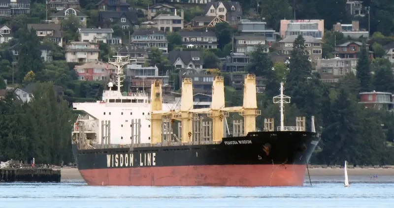POAVOSA WISDOM Bulk Carrier IMO 9515644 photo 8