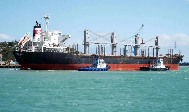 DEWI GANDAWATI Bulk Carrier IMO 9515670 photo 5