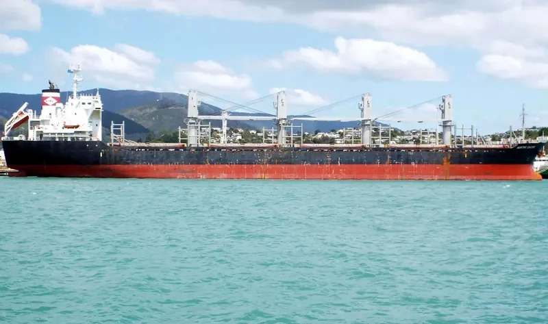DEWI GANDAWATI Bulk Carrier IMO 9515670 photo 6