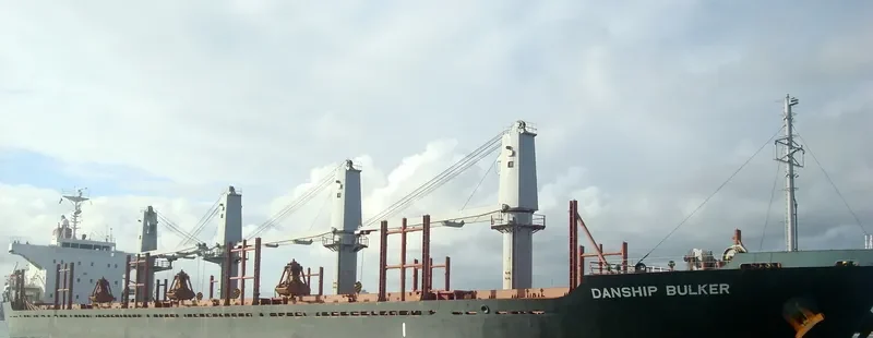 DANSHIP BULKER Bulk Carrier IMO 9515682 photo 3