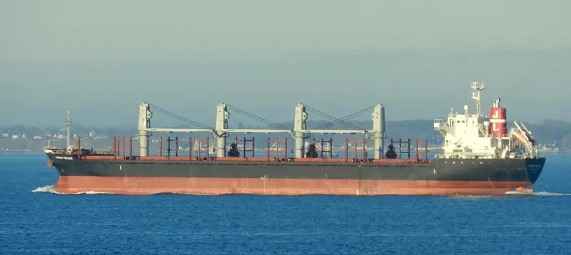 DANSHIP BULKER Bulk Carrier IMO 9515682 photo 6