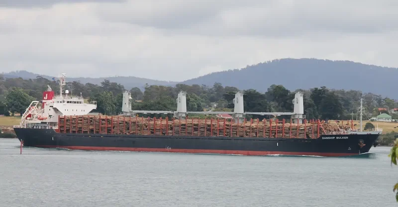 DANSHIP BULKER Bulk Carrier IMO 9515682 photo 9