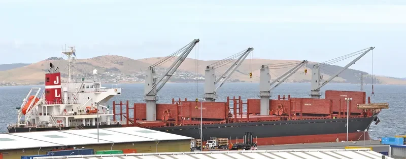 DANSHIP BULKER Bulk Carrier IMO 9515682 photo 10