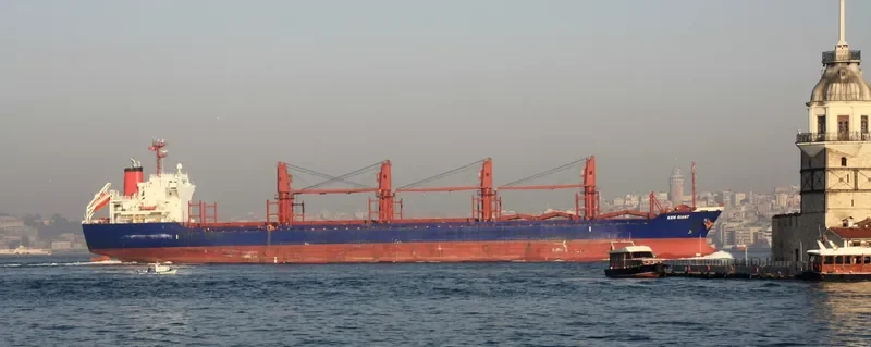 KEN GIANT Bulk Carrier IMO 9515694 photo 7