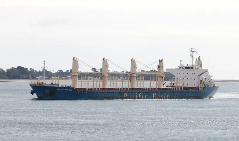 KOOMBANA BAY Bulk Carrier IMO 9515735 photo 7