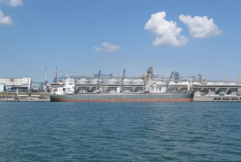 YANGTZE DAWN Bulk Carrier IMO 9515747