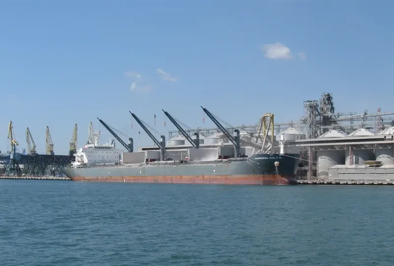 YANGTZE DAWN Bulk Carrier IMO 9515747 photo 3