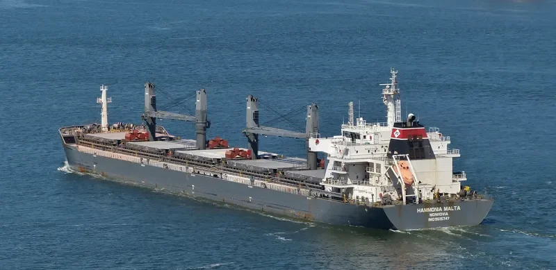 YANGTZE DAWN Bulk Carrier IMO 9515747 photo 5
