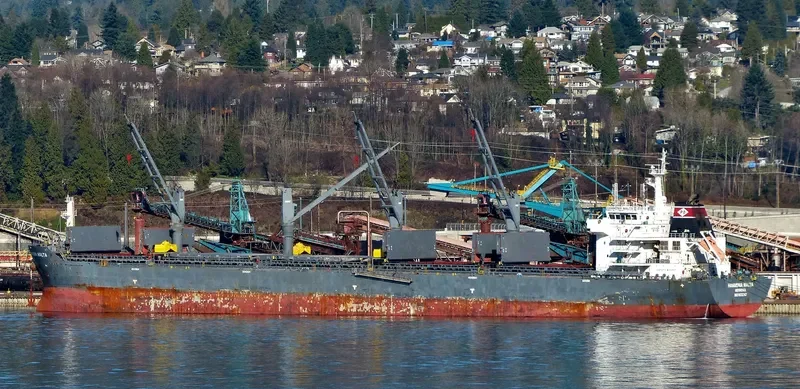 YANGTZE DAWN Bulk Carrier IMO 9515747 photo 10