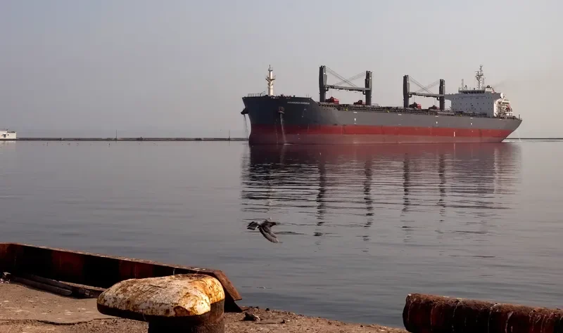AGIOS NEKTARIOS Bulk Carrier IMO 9515759 photo 7