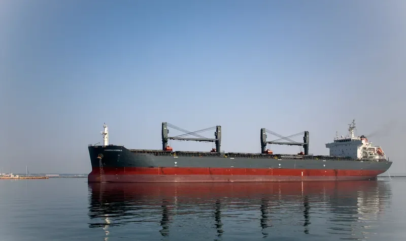 AGIOS NEKTARIOS Bulk Carrier IMO 9515759 photo 8