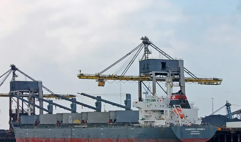 AGIOS NEKTARIOS Bulk Carrier IMO 9515759 photo 9