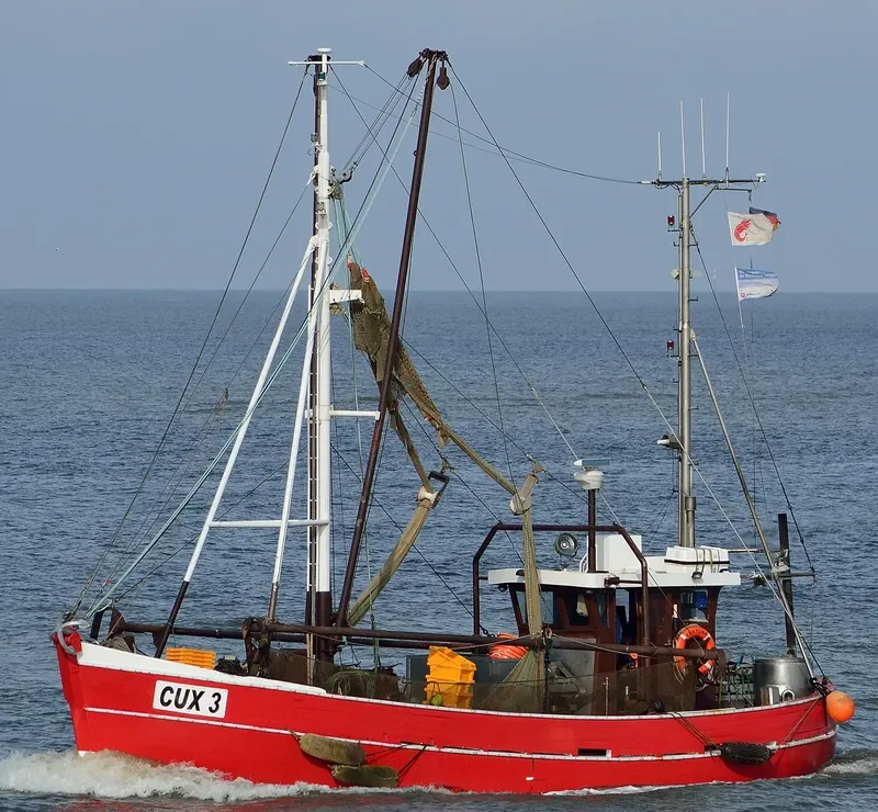 FORTUNA General Cargo IMO 9516040 photo 9