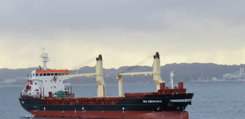 SEA ENDURANCE General Cargo IMO 9516179