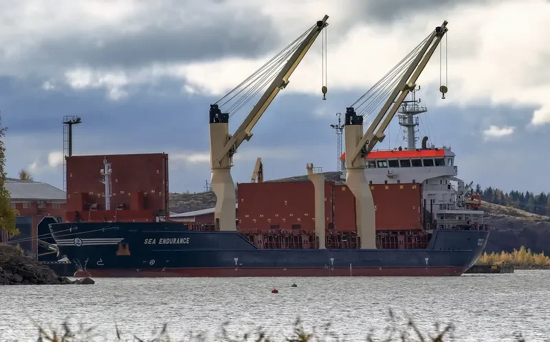 SEA ENDURANCE General Cargo IMO 9516179 photo 4