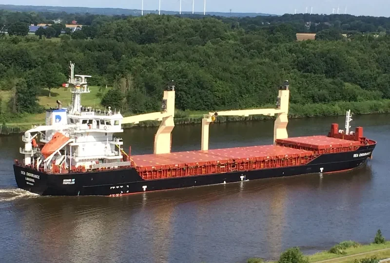 SEA ENDURANCE General Cargo IMO 9516179 photo 5